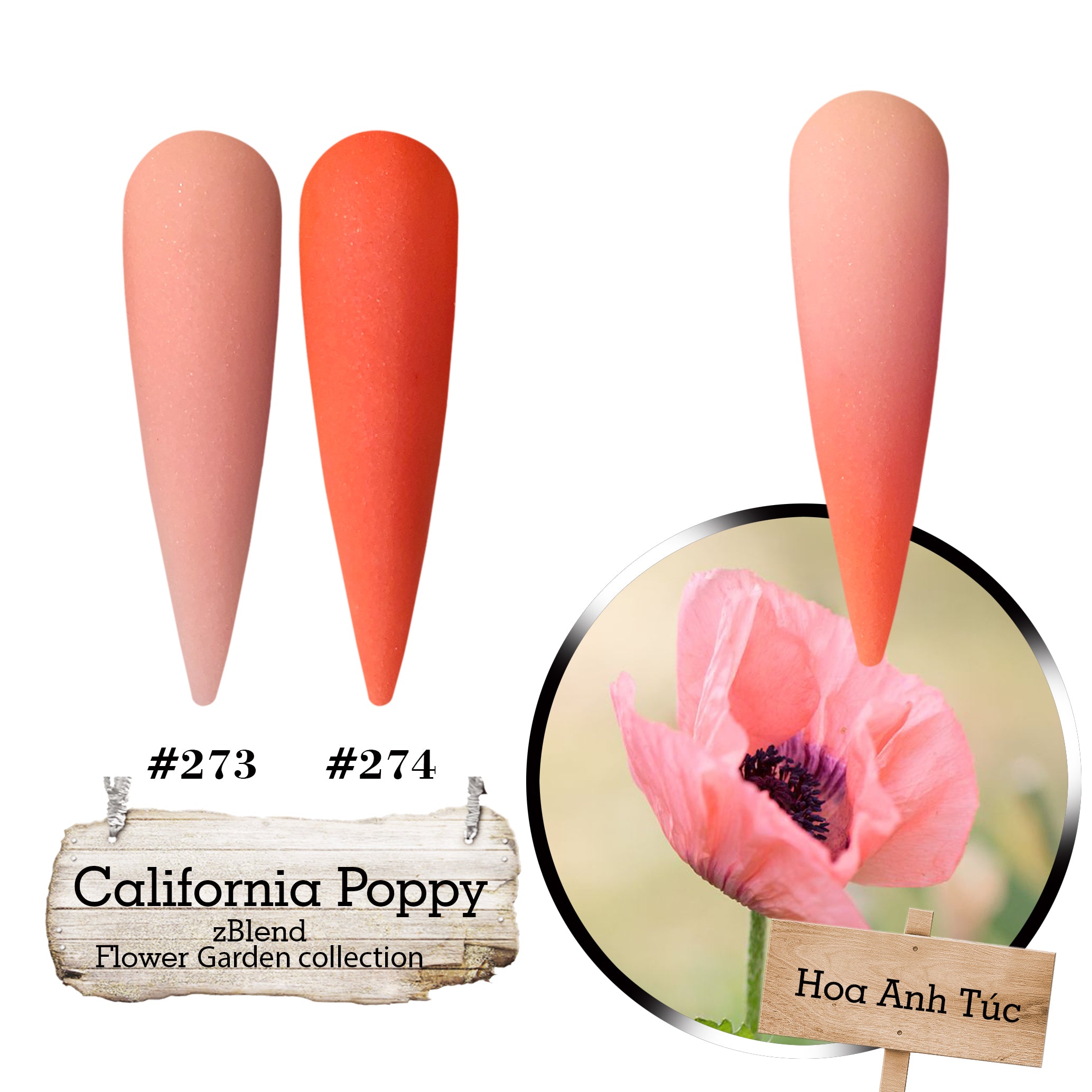 zBlend - zGel - zLacquer |