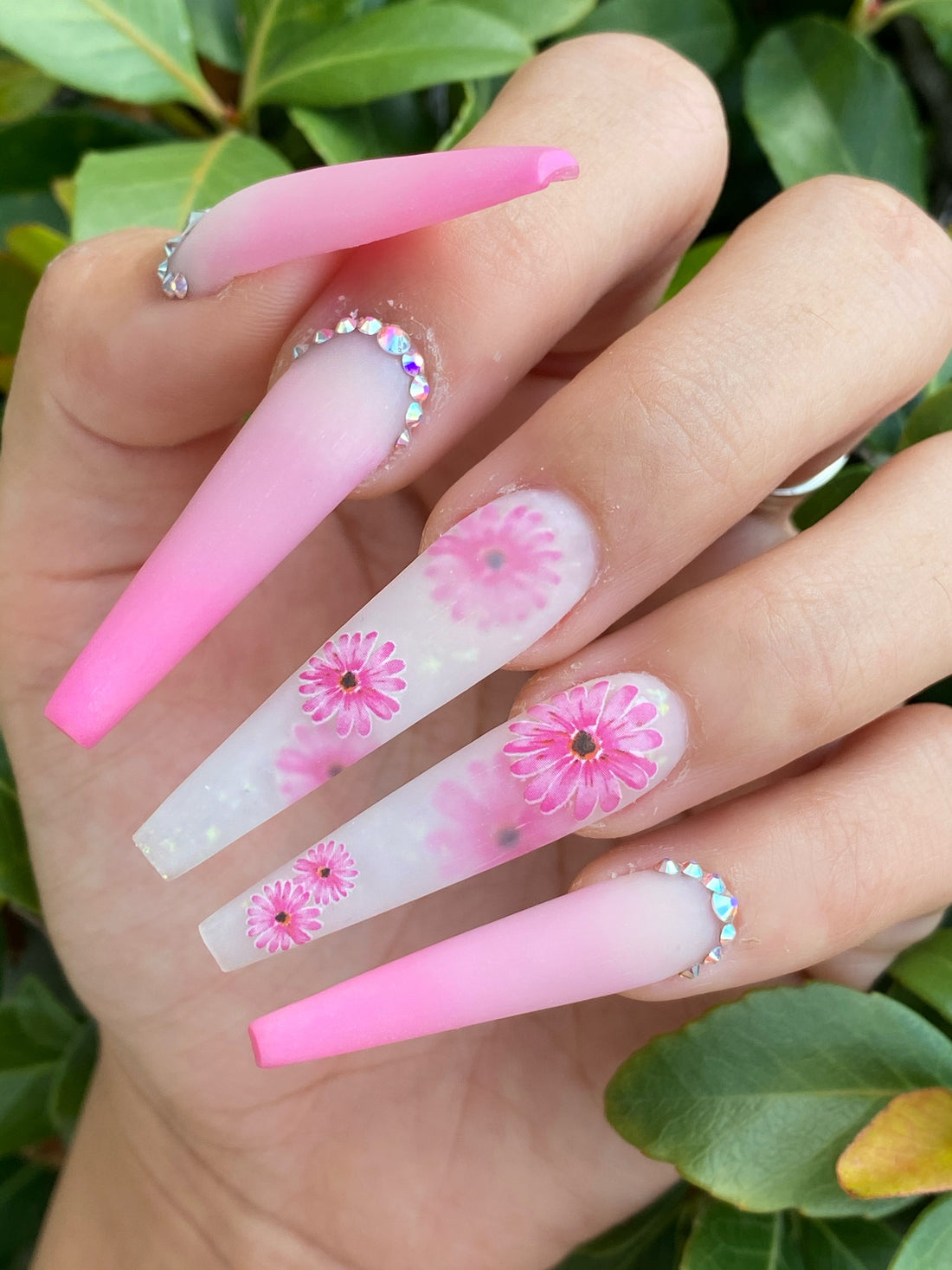 Sticker - Daisy Flower