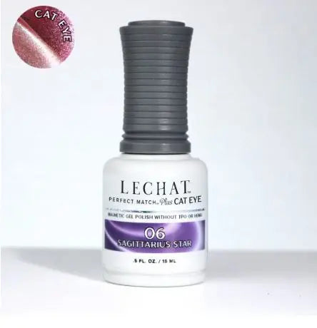 Cat Eye Magnetic Gel Polish 