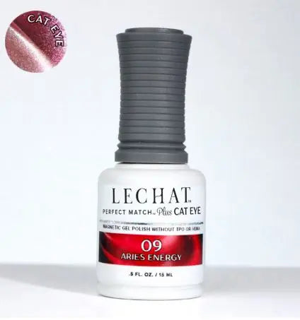 Cat Eye Magnetic Gel Polish 