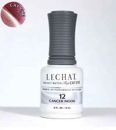 Cat Eye Magnetic Gel Polish 