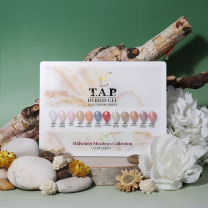 T.A.P Gel | Starter Kit - Color Collection Section