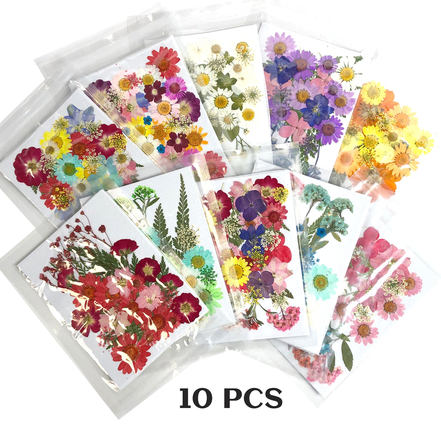 Dried Flower - set 10 colors