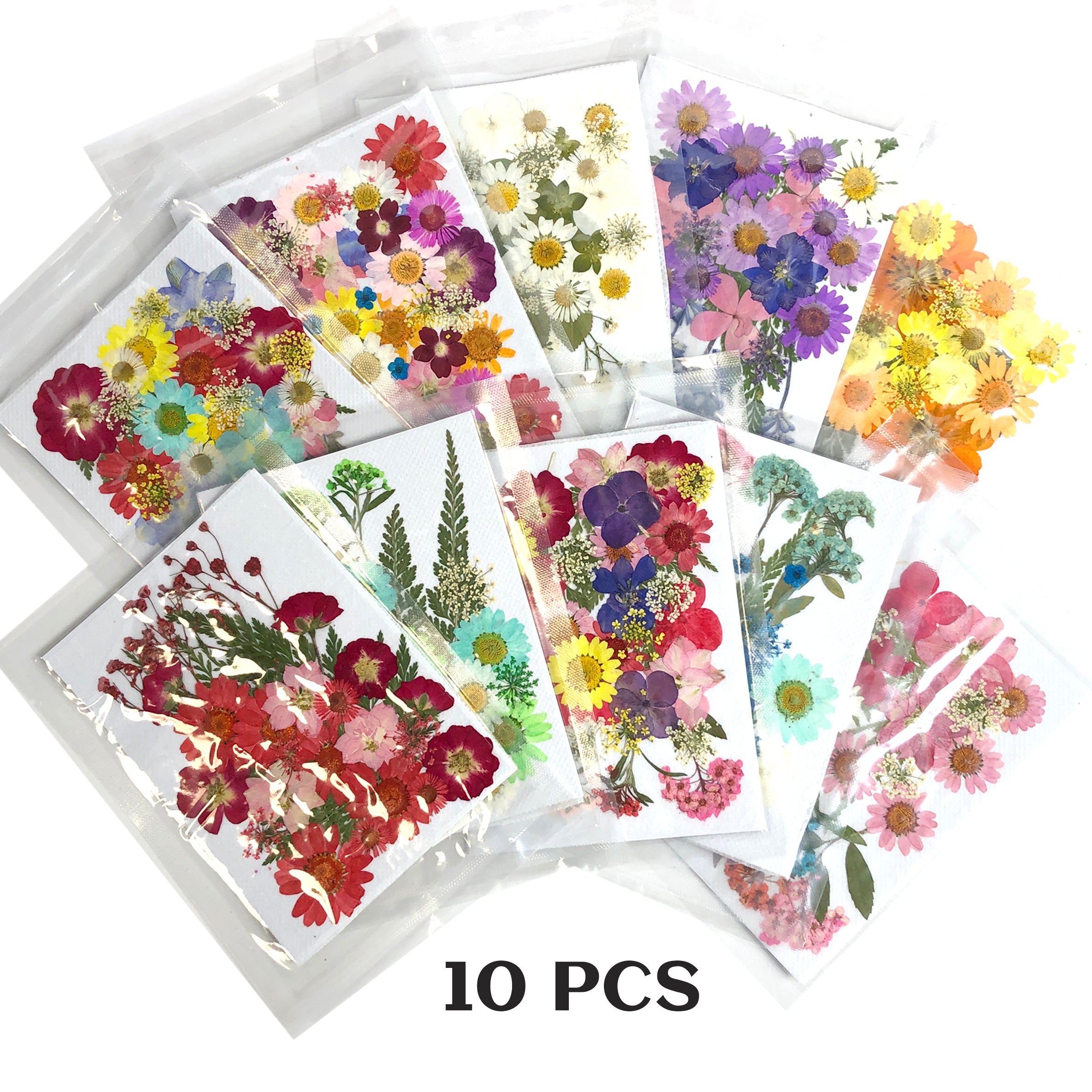 Dried Flower - set 10 colors